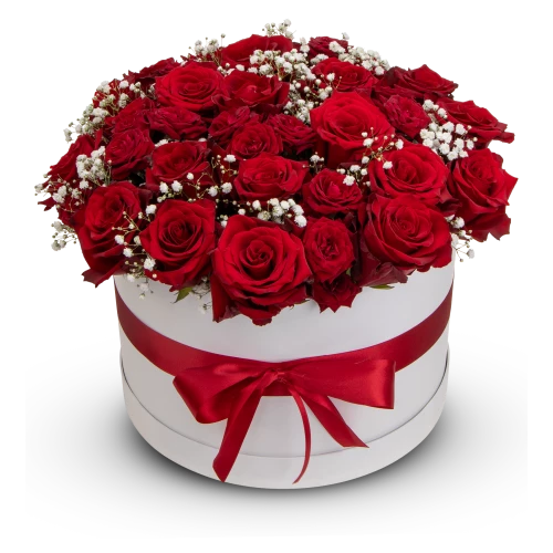 Box červených růží